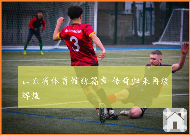 山东省体育馆新篇章 传奇归来再续辉煌